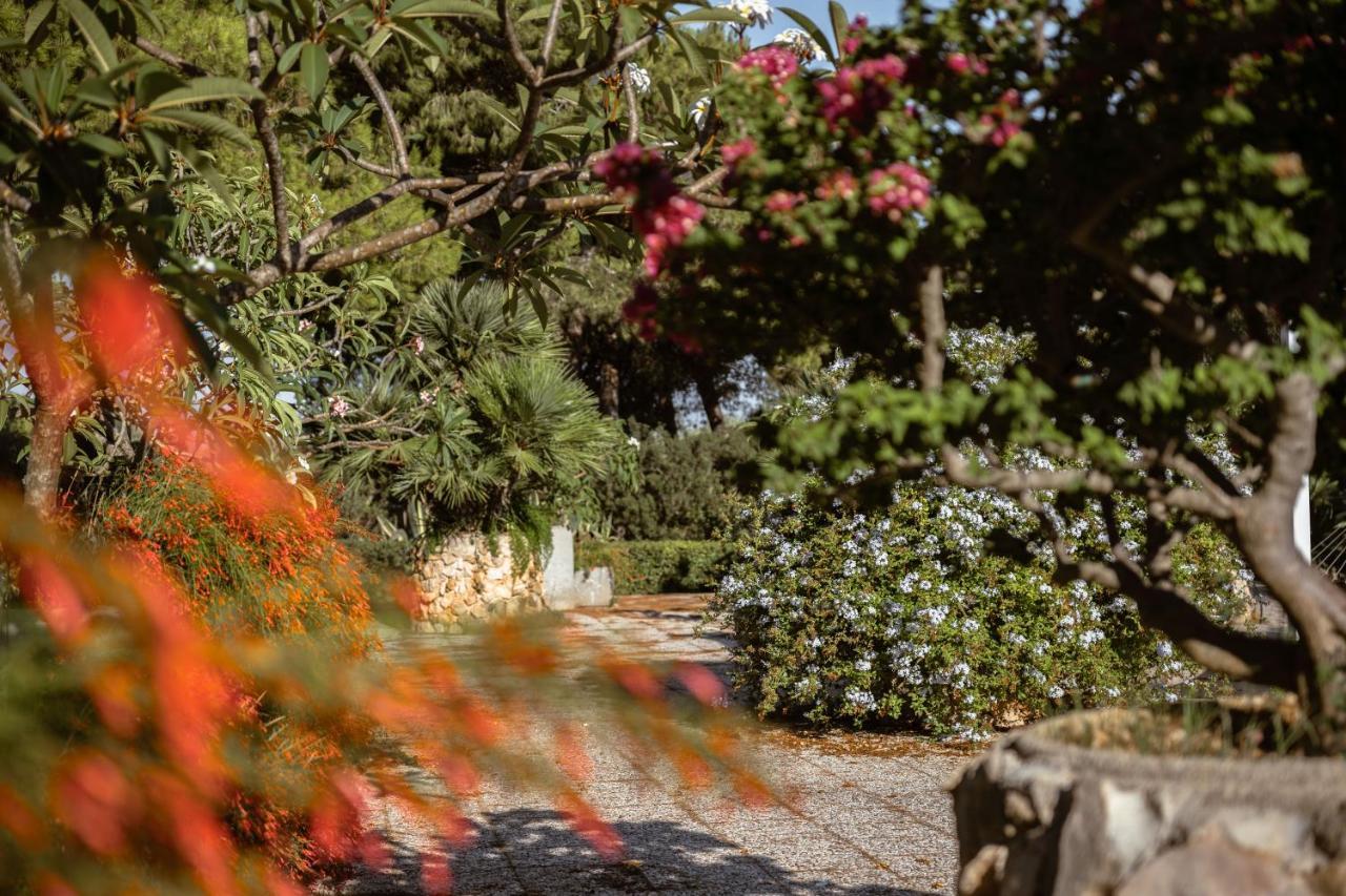 Giardino Dell'Impossibile Di Antonino Campo Apartment Favignana Ngoại thất bức ảnh